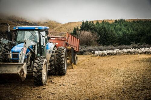 Tractor-Feeding-out