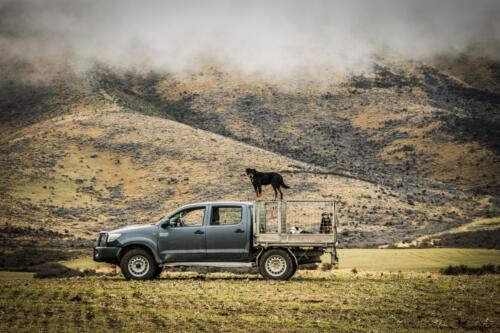 Truck-with-Ben-on-top